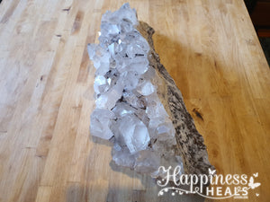 Himalayan Quartz Cluster