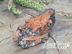 Crocoite: A Rare and Vivid Mineral Specimen