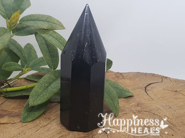 Black Tourmaline Point