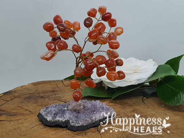 Carnelian With Amethyst Cluster Base Tree