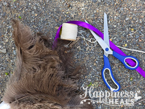 Cleaning and Cutting Cords (Guided Audio)