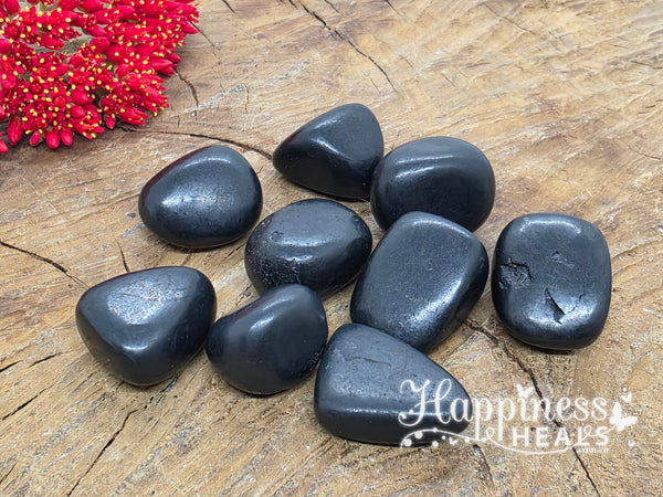 Shungite (Tumbled)