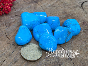 Blue Howlite (Tumbled)