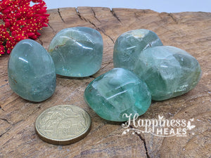 Green Fluorite (Tumbled)