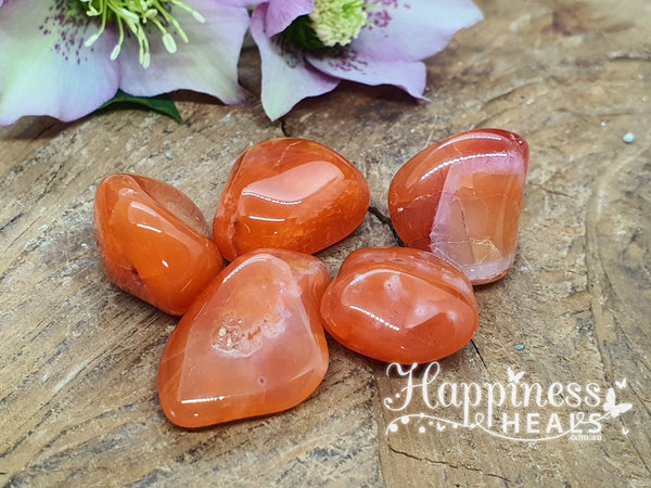 Carnelian (Tumbled) - High Grade (green dot)