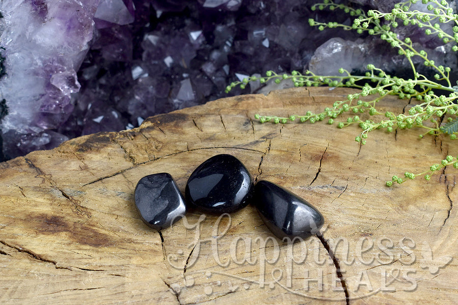 Shungite (Tumbled)