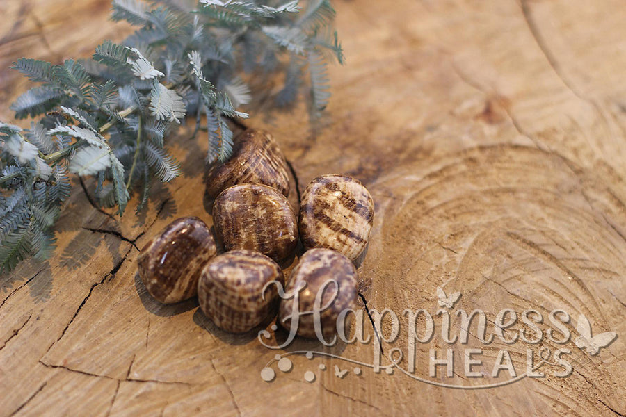 Brown Aragonite (Tumbled)